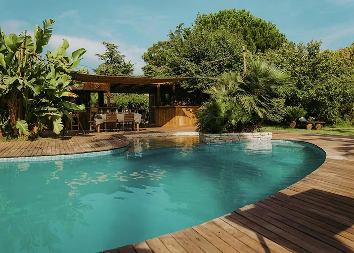 Lyxtält Yourte Piscine Jardin - Quatre Murs Et Un Toit *